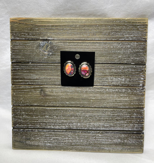 Multi Colored Spiny Stud Earrings